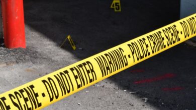 registry entries investigation numbers listed