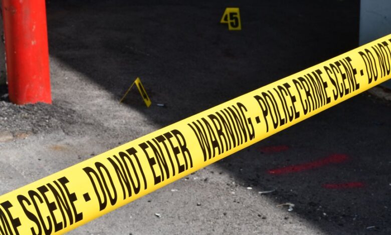 registry entries investigation numbers listed