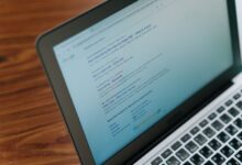 registry lookup results for specific ids