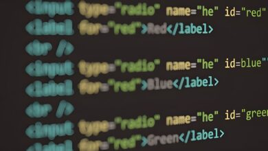 registry search reveals multiple ids list