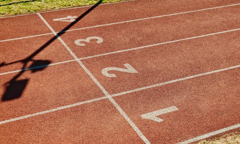 track ids for verification details