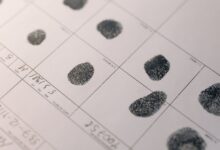 verified registry evidence for multiple ids